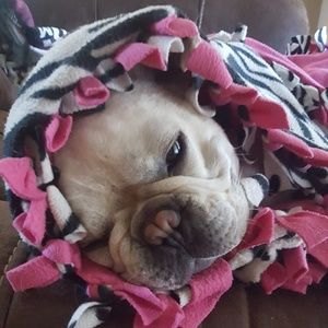 Meet your Posher, Erika